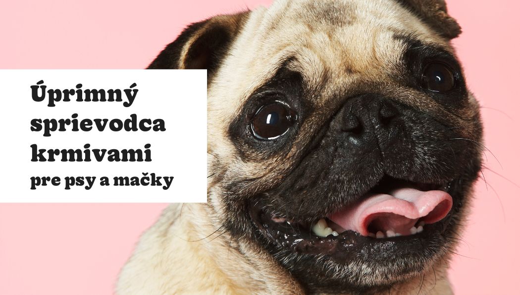 Rýchly a úprimný sprievodca krmivami na zuzalsk.info