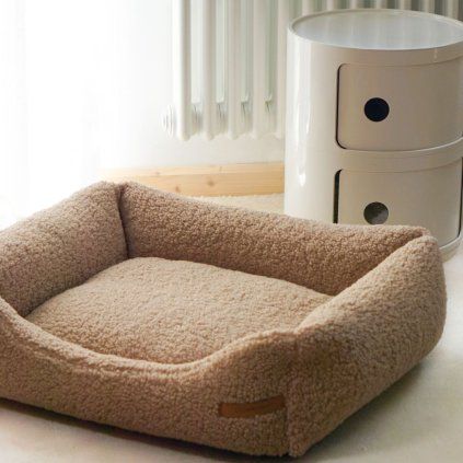 teddy frida pelech hunaty 1
