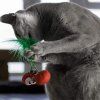 Outward Hound Dental Cherries hračka pre mačku s kocúrnikom