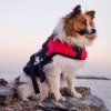 EZYDOG plávacia vesta pre psy DFD červená