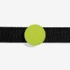 zeedog airtag holder lime main 4 1296x