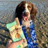 soopa paw na colada sticks .3