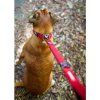 EZYDOG vodítko ZERO SHOCK LEASH - 120 cm modré