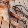 EZYDOG vodítko SOFT TRAINER LITE TRAFFIC CONTROL - 180 cm denim